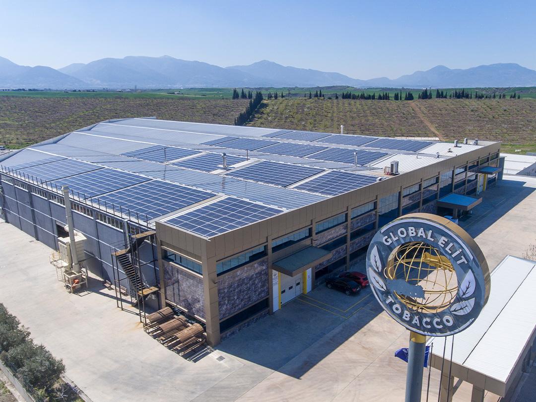 Global Elit Tobacco 02