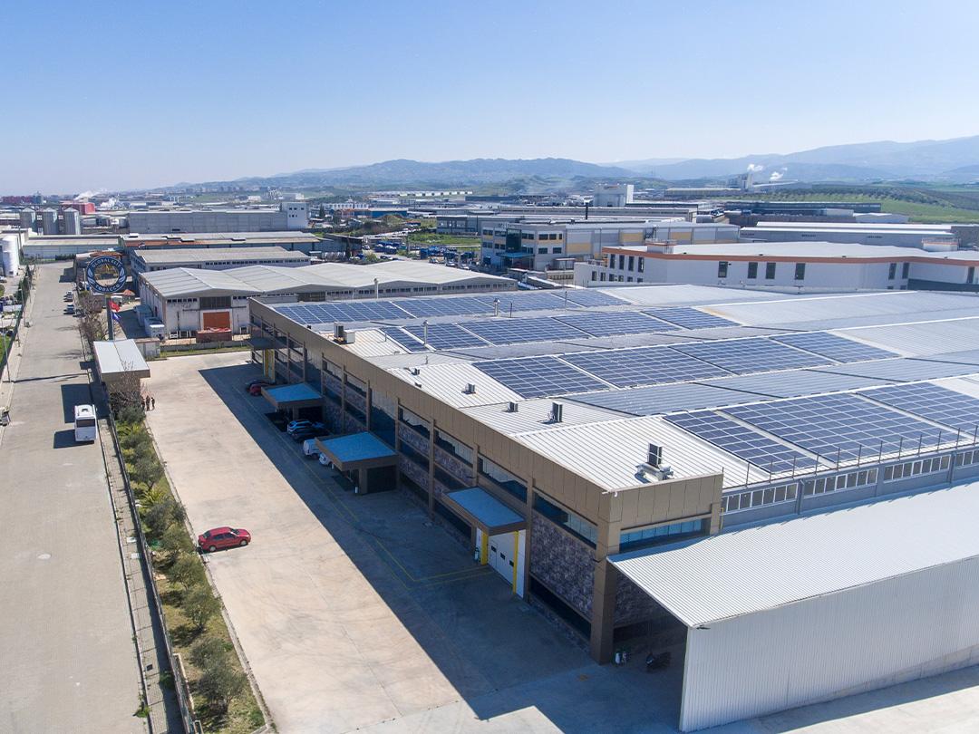 Global Elit Tobacco 04