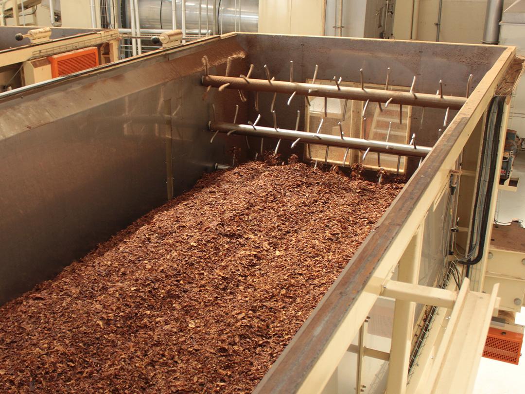 Global Elit Tobacco 08