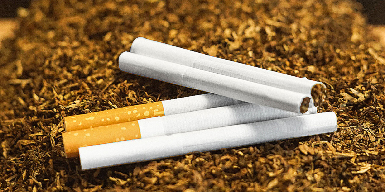 CUT-RAG for Cigarette | Global Elit Tobacco