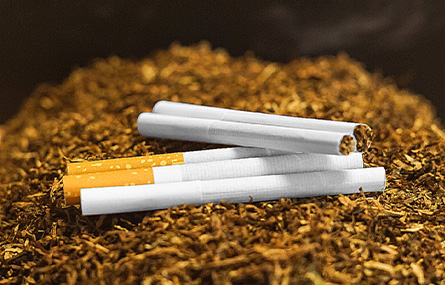 CUT-RAG for Cigarette